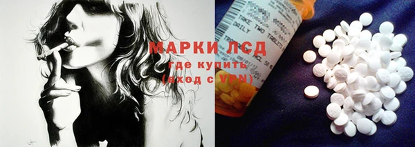 крисы Армянск