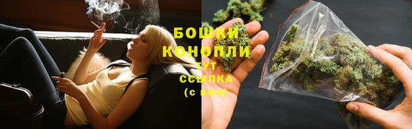 сатива Арсеньев