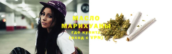 дживик Пересвет