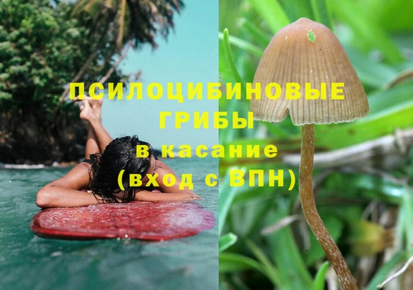 сатива Арсеньев