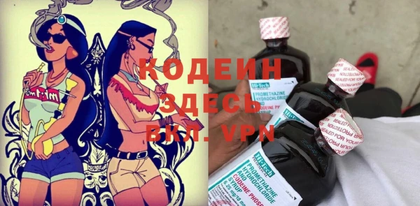 крисы Армянск