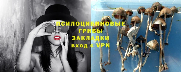 сатива Арсеньев