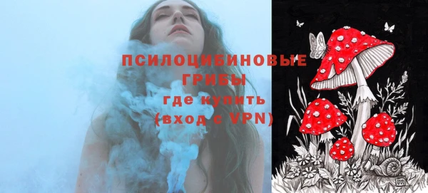 крисы Армянск