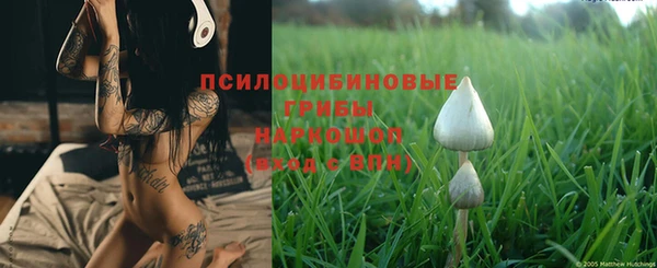 сатива Арсеньев
