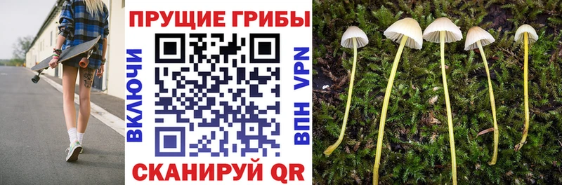 Галлюциногенные грибы ЛСД Белоярский